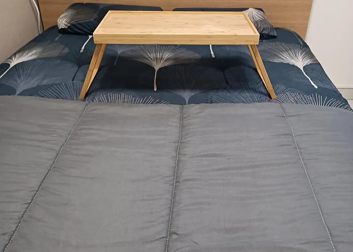 Kedge 9 - Proche Centre, Tram & Universites Apartman *