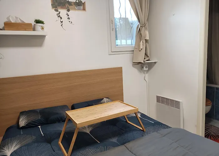 Kedge 9 - Proche Centre, Tram & Universites Таланс